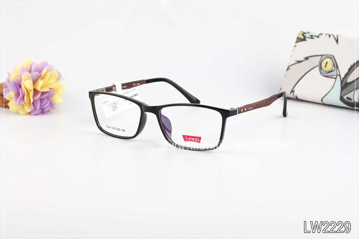 Gọng kính Lewsi LWTR2229 C1 S1