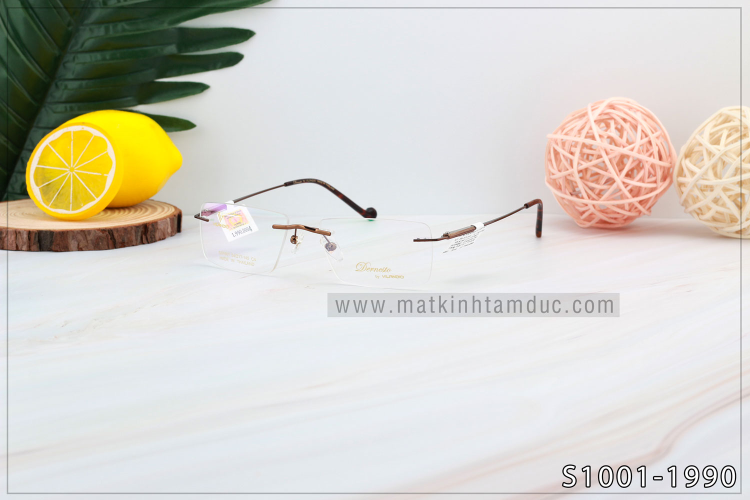 Gọng kính Vilandio DERNESTO S1001 - Ảnh 3