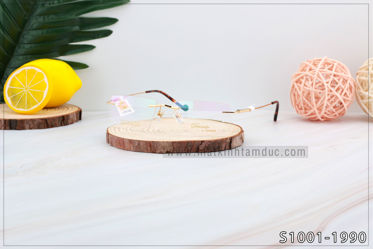 Gọng kính Vilandio DERNESTO S1001