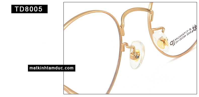 Gọng kính TD8005 - Ảnh 6