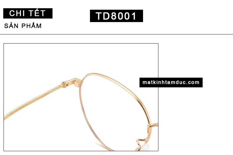 Gọng kính TD8001 - Ảnh 5