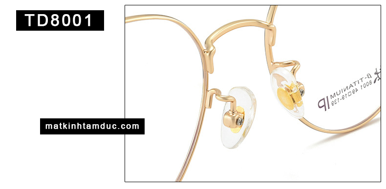 Gọng kính TD8001 - Ảnh 6