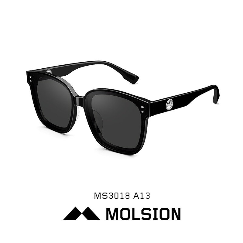 MS3018-A13
