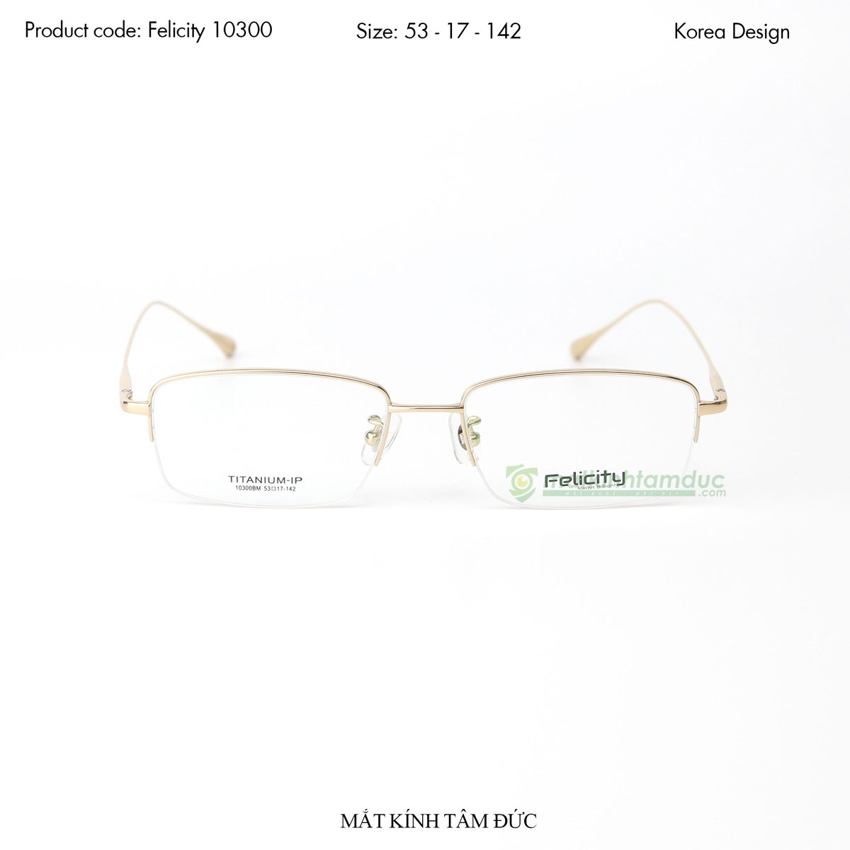 Gọng kính FELICITY FE10300