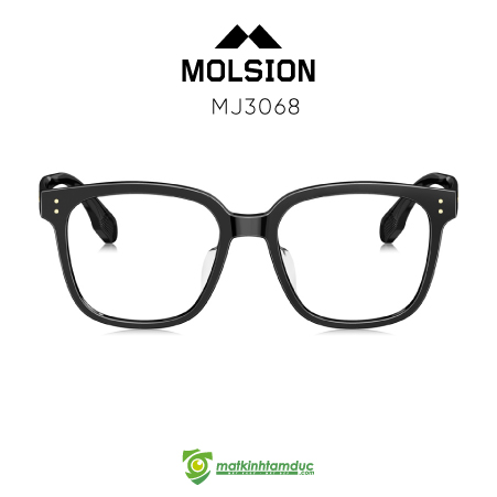 Gọng kính MOLSION MJ3068