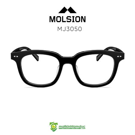 Gọng kính MOLSION MJ3050