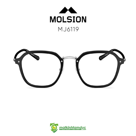 Gọng kính MOLSION MJ6119