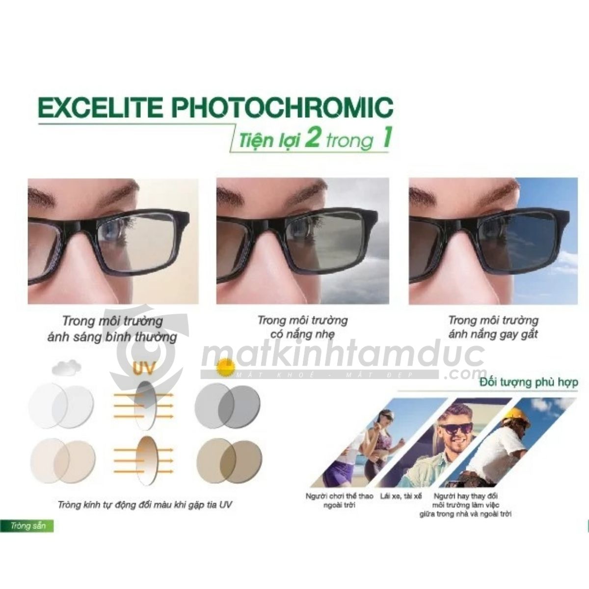 Tròng kính đổi màu VisionX - Singapore - Ảnh 15