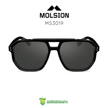 Kính Mát MOLSION MS3019