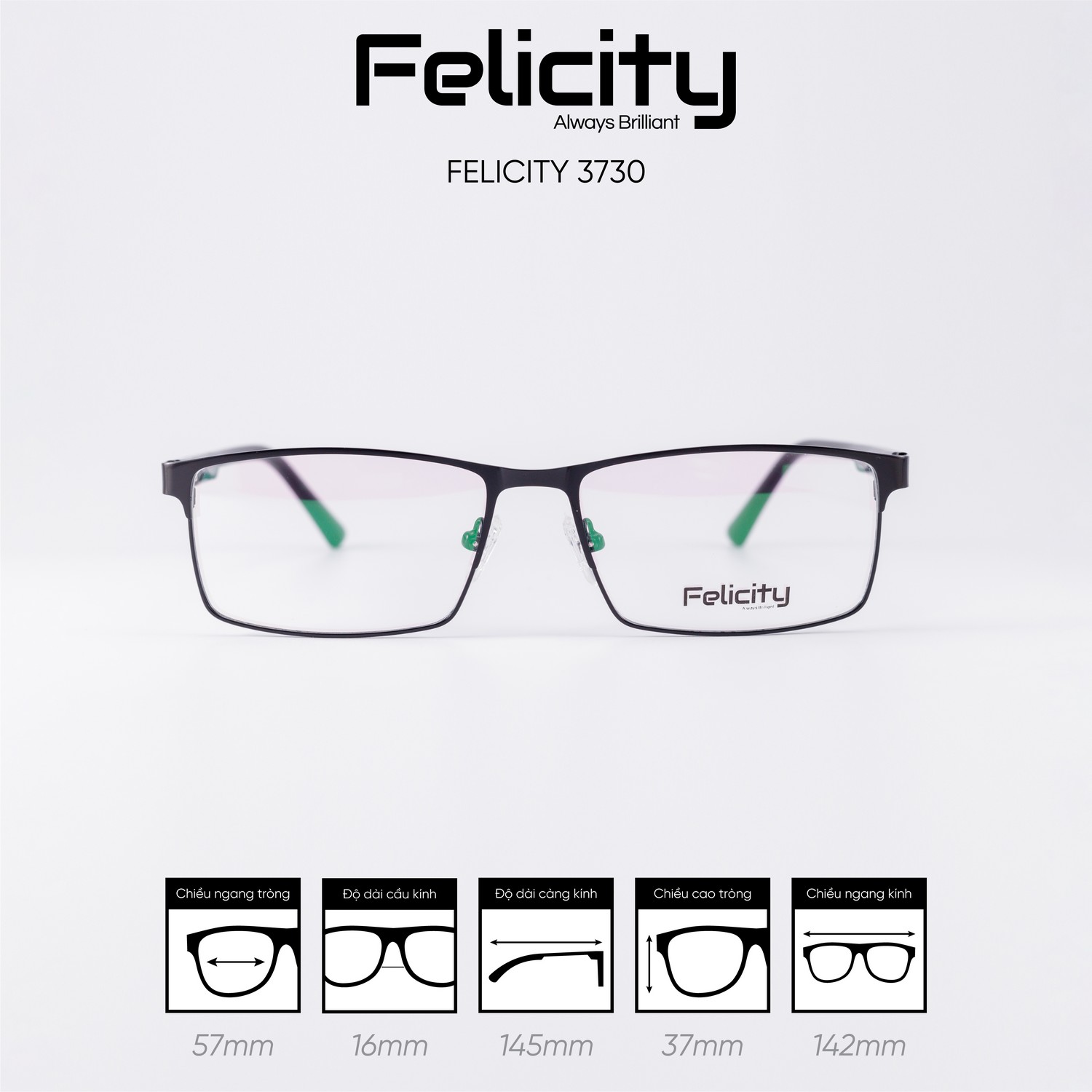 Gọng kính FELICITY 3730