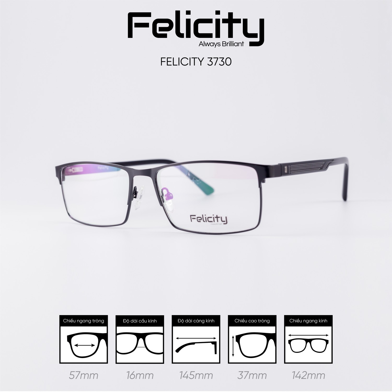 Gọng kính FELICITY 3730 - Ảnh 4