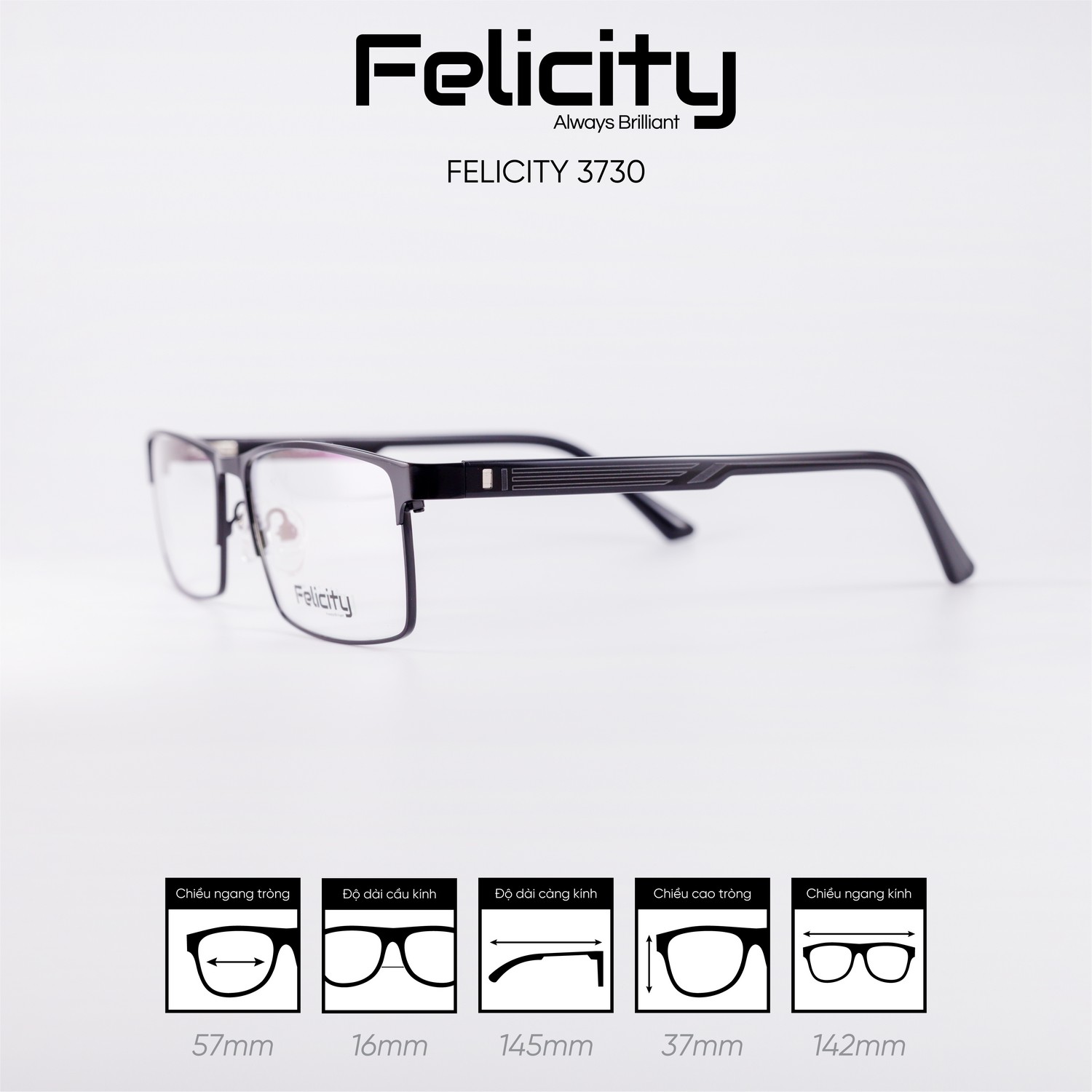 Gọng kính FELICITY 3730 - Ảnh 8