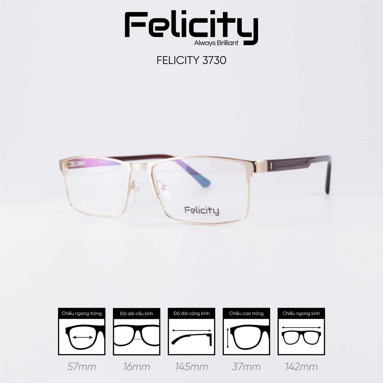 Gọng kính FELICITY 3730 - Ảnh 6