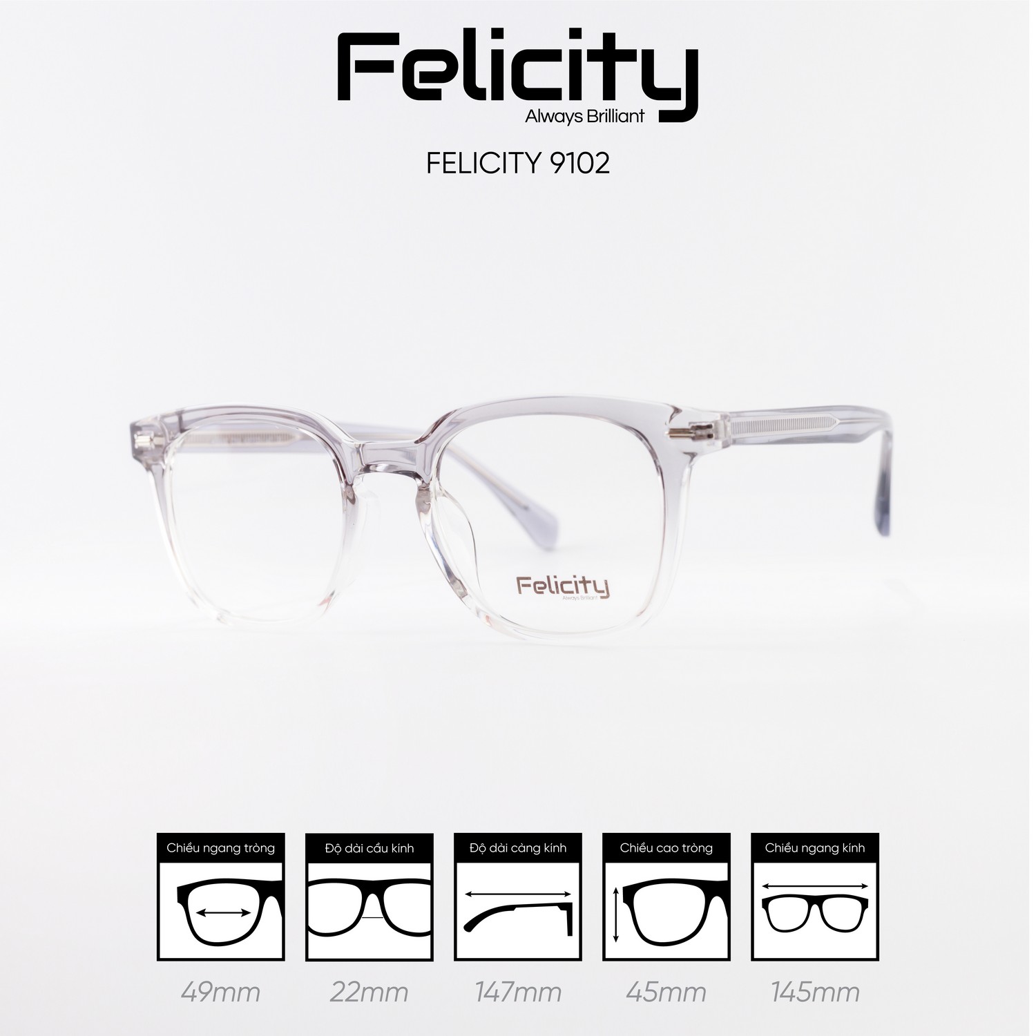 Gọng kính FELICITY 9102 - Ảnh 6