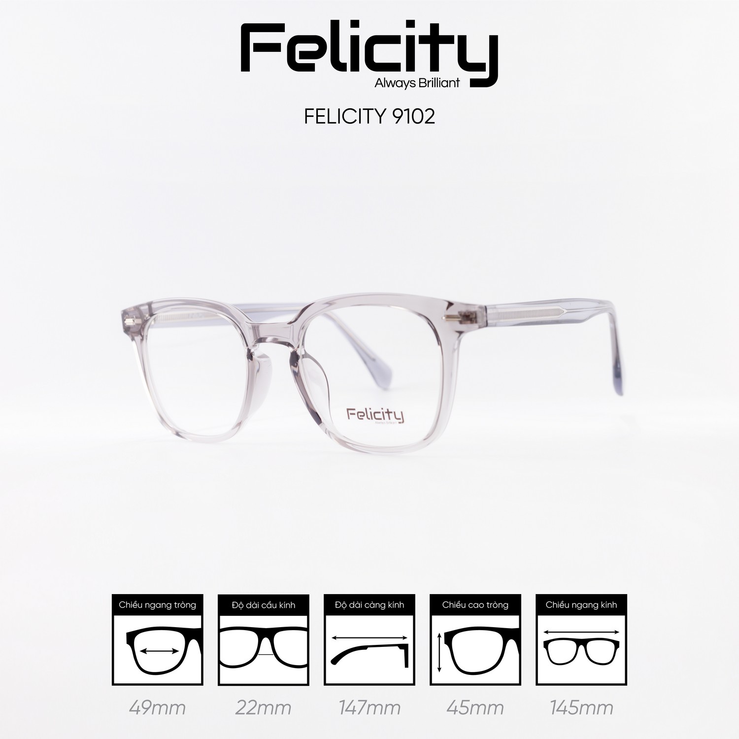 Gọng kính FELICITY 9102 - Ảnh 5
