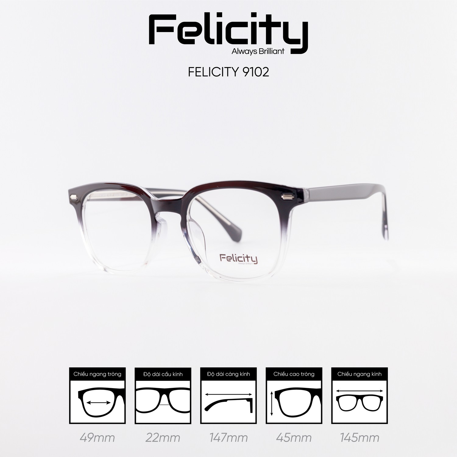 Gọng kính FELICITY 9102 - Ảnh 4