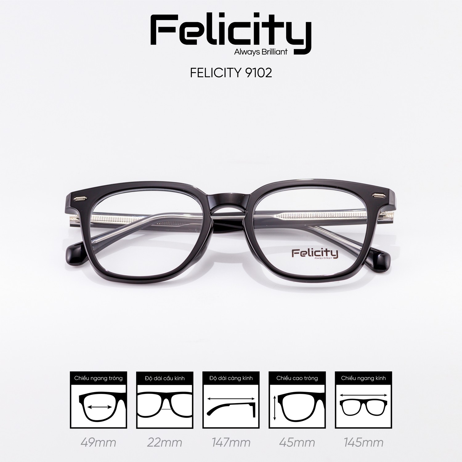Gọng kính FELICITY 9102 - Ảnh 7
