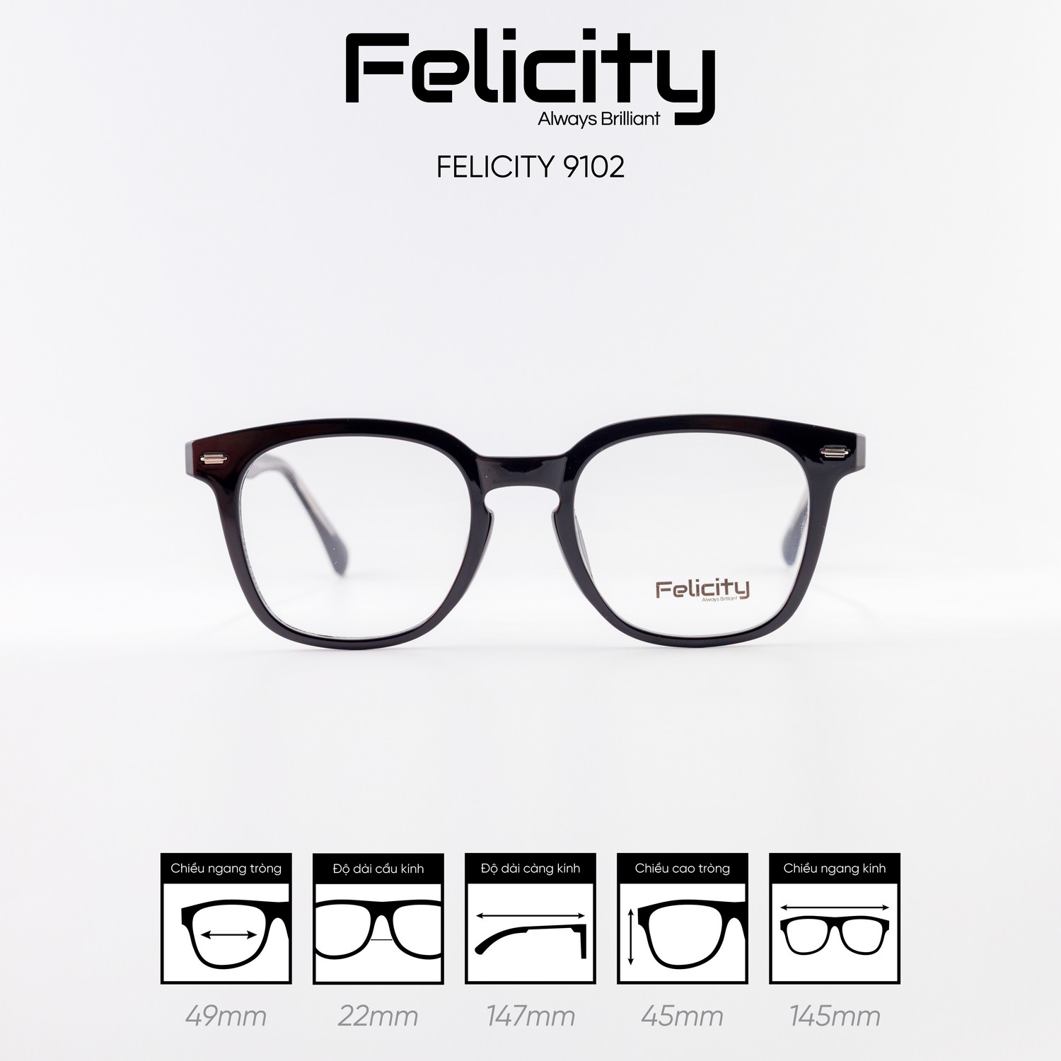 Gọng kính FELICITY 9102