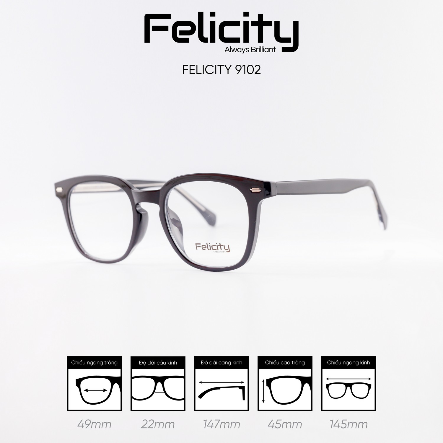 Gọng kính FELICITY 9102 - Ảnh 3