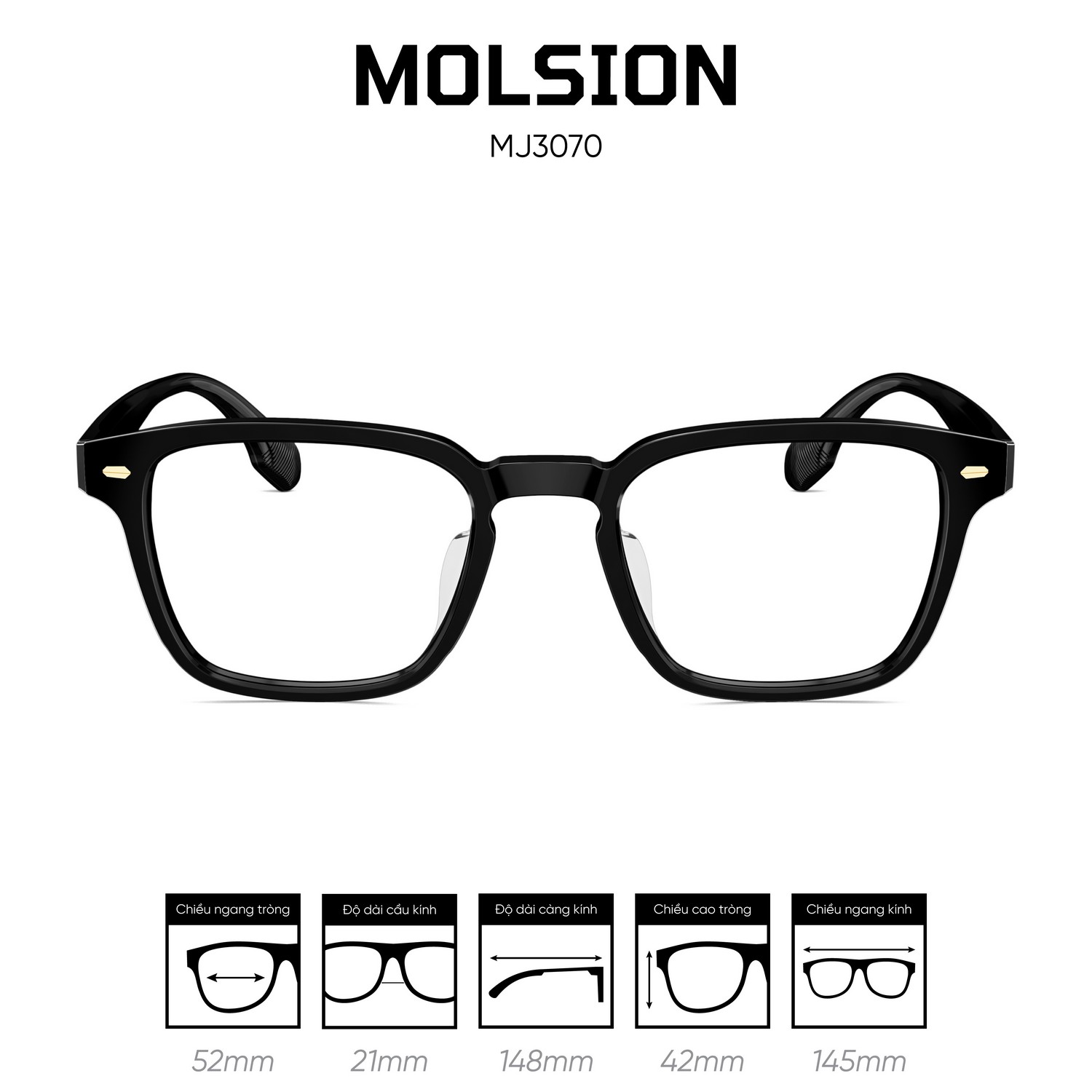 Gọng kính MOLSION MJ3070