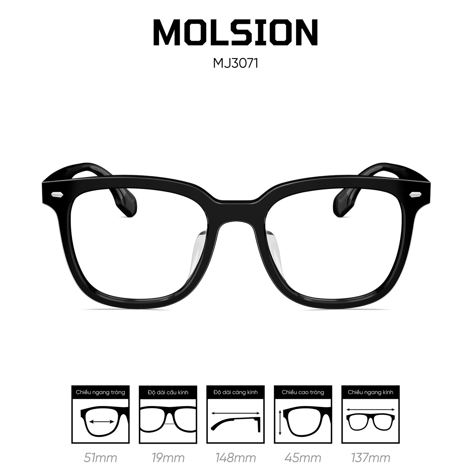Gọng kính MOLSION MJ3071