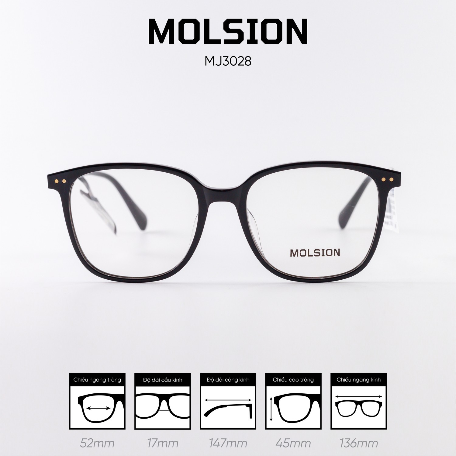 Gọng kính MOLSION MJ3028
