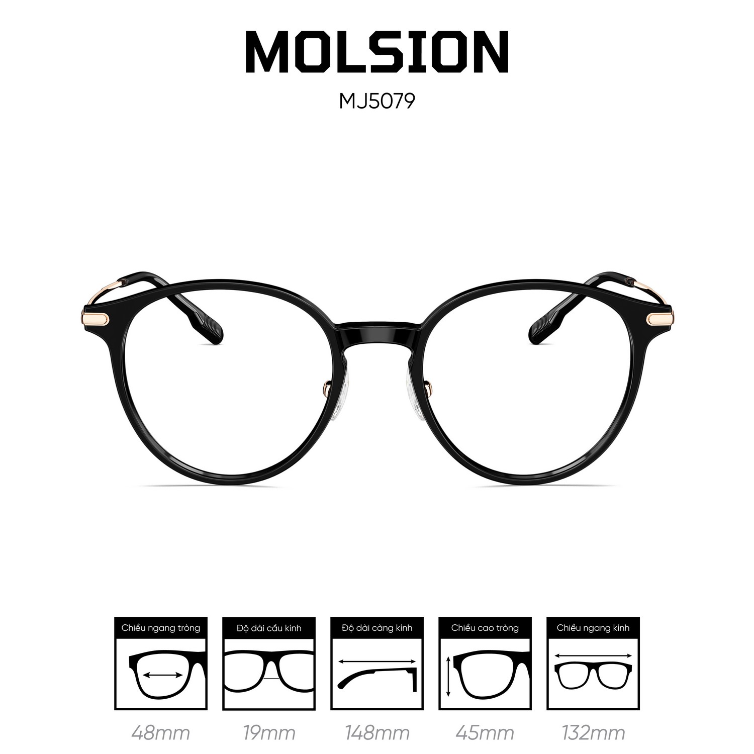 Gọng kính MOLSION MJ5079