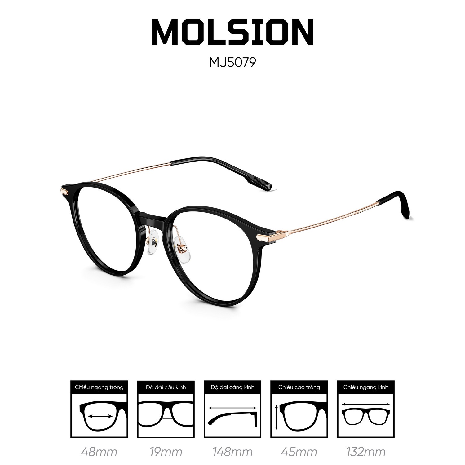 Gọng kính MOLSION MJ5079 - Ảnh 3