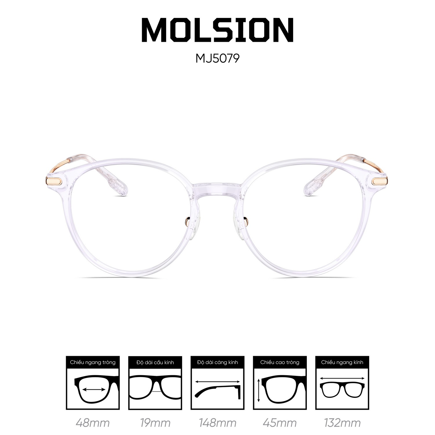 Gọng kính MOLSION MJ5079 - Ảnh 6