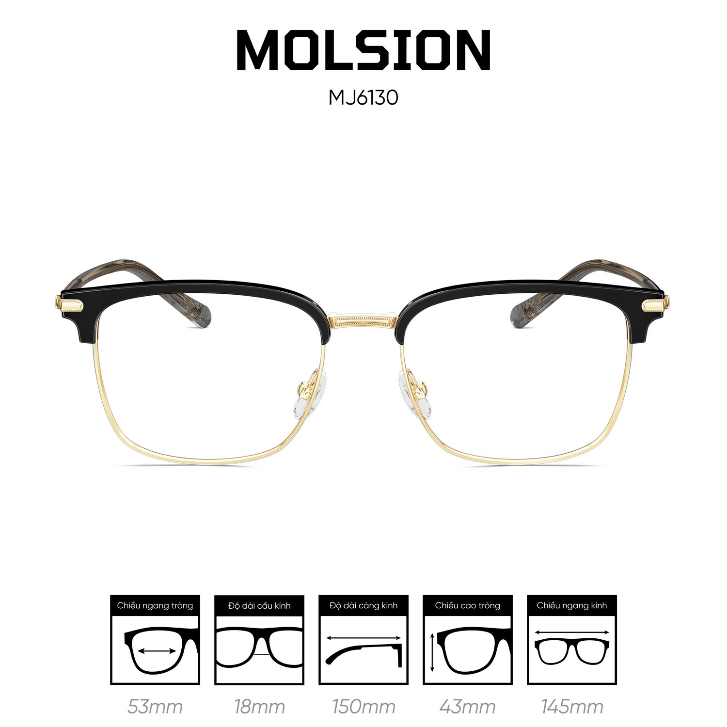 Gọng kính MOLSION MJ6130