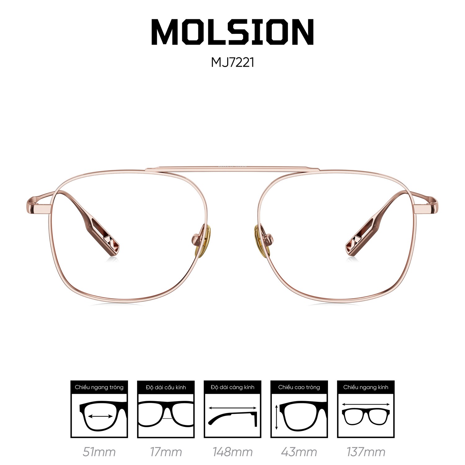 Gọng kính MOLSION MJ7221