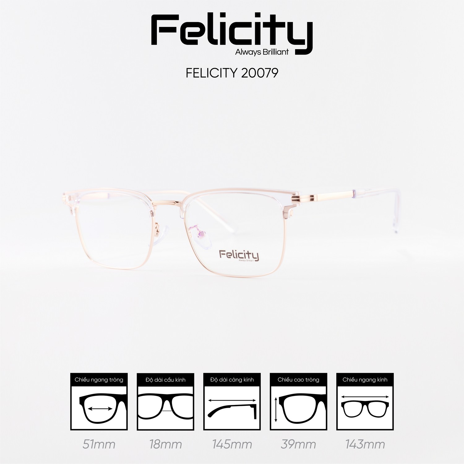 Gọng kính FELICITY 20079 - Ảnh 9