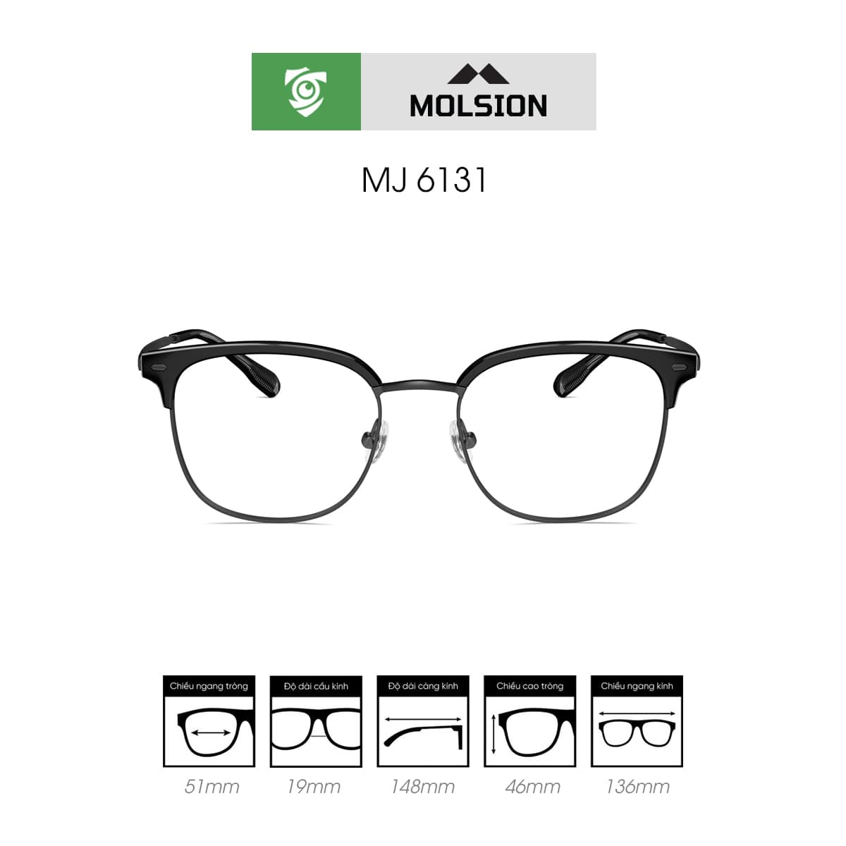 Gọng kính MOLSION MJ6131