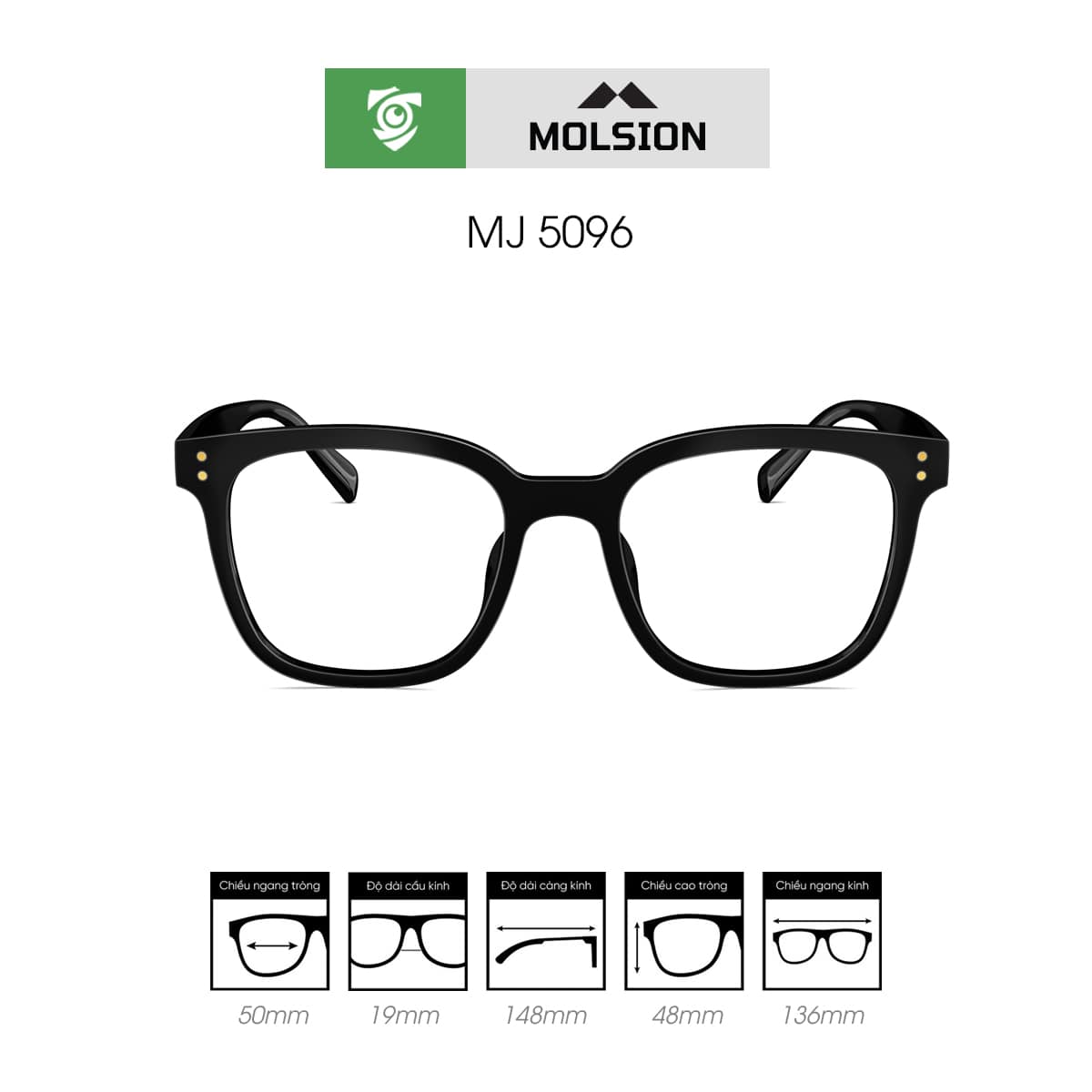 Gọng kính MOLSION MJ5096