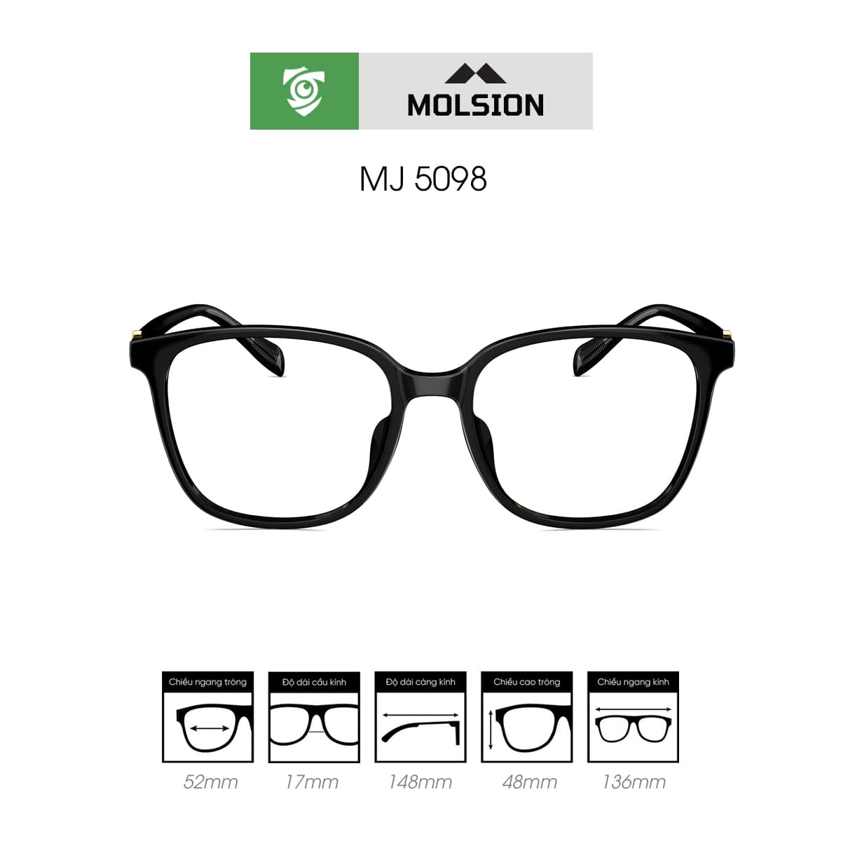 Gọng kính MOLSION MJ5098