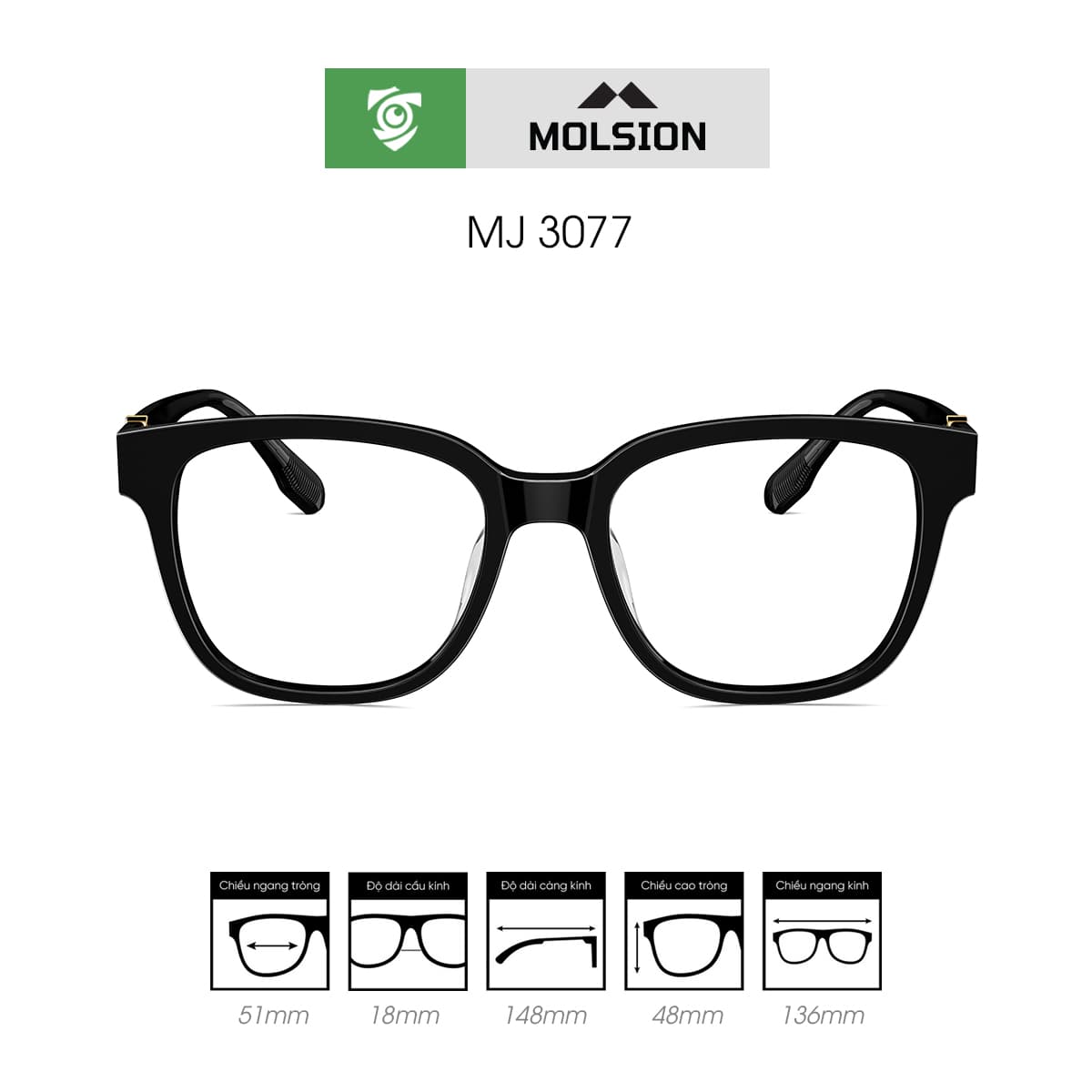 Gọng kính MOLSION MJ3077