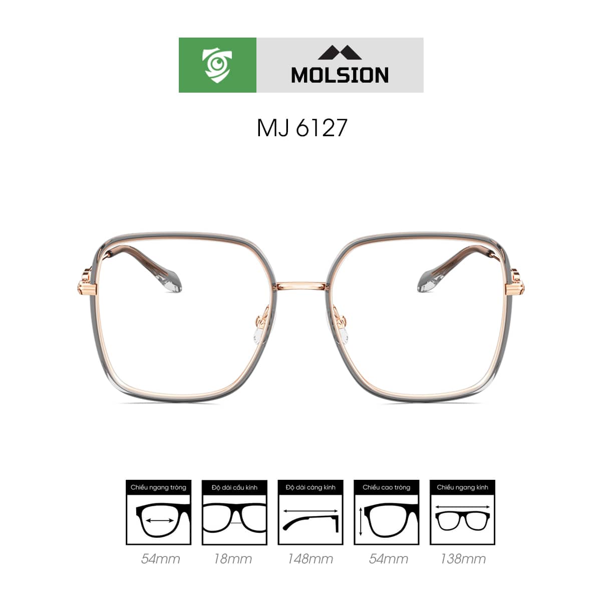Gọng kính MOLSION MJ6127