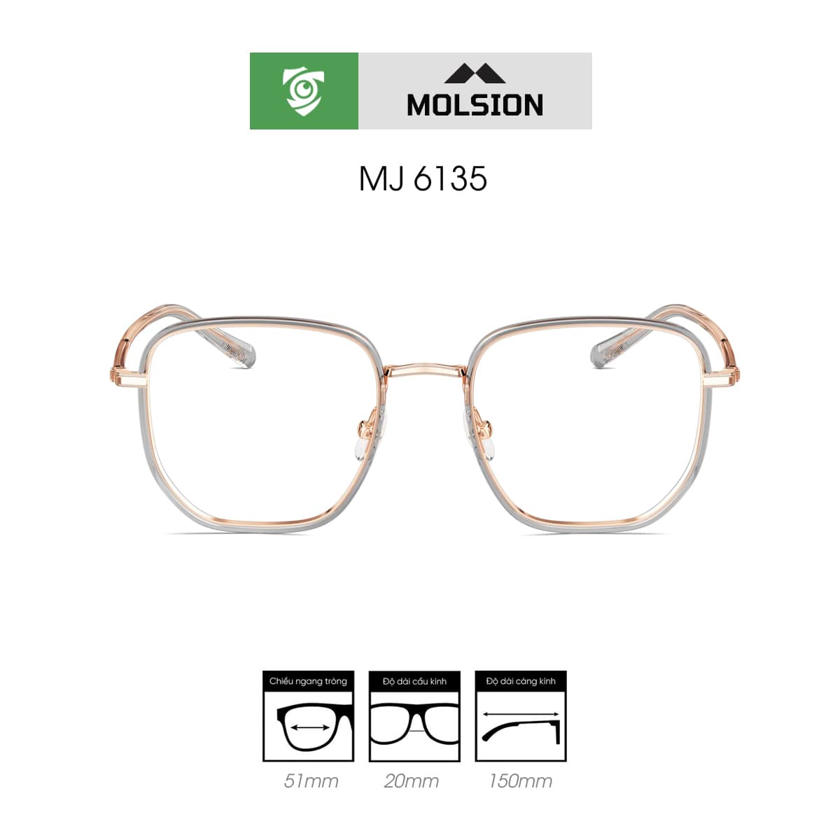 Gọng kính MOLSION MJ6135