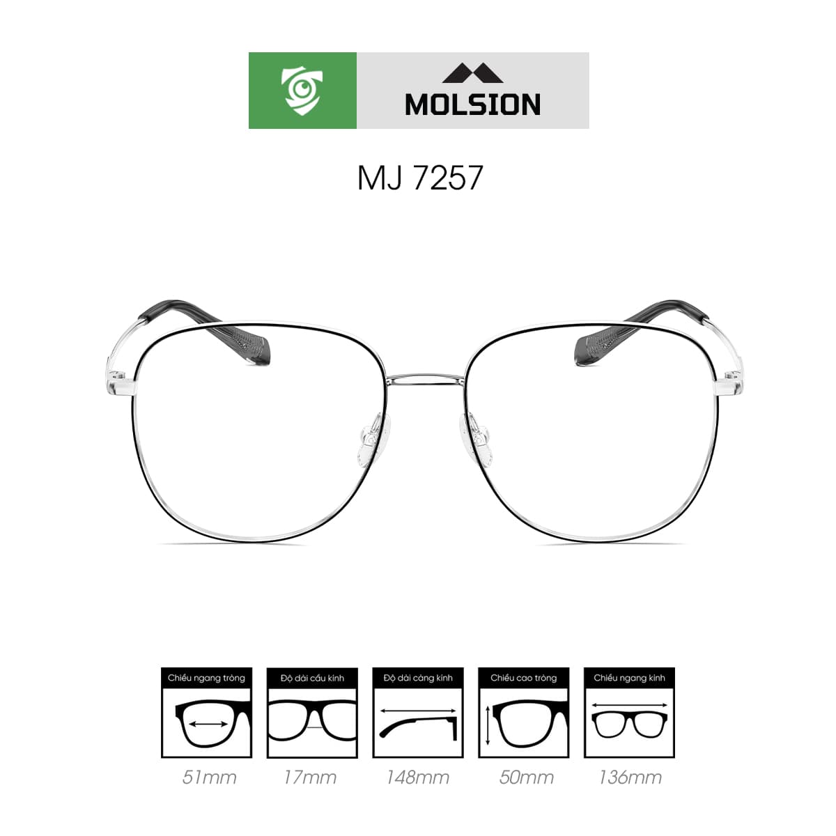 Gọng kính MOLSION MJ7257