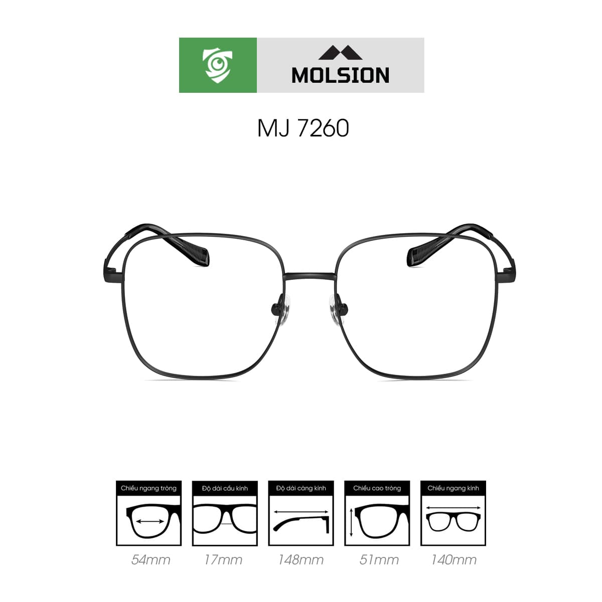 Gọng kính MOLSION MJ7260