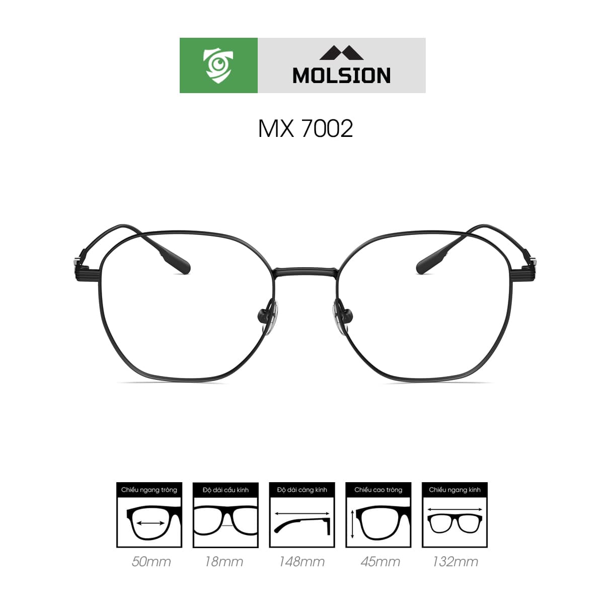 Gọng kính MOLSION MX7002