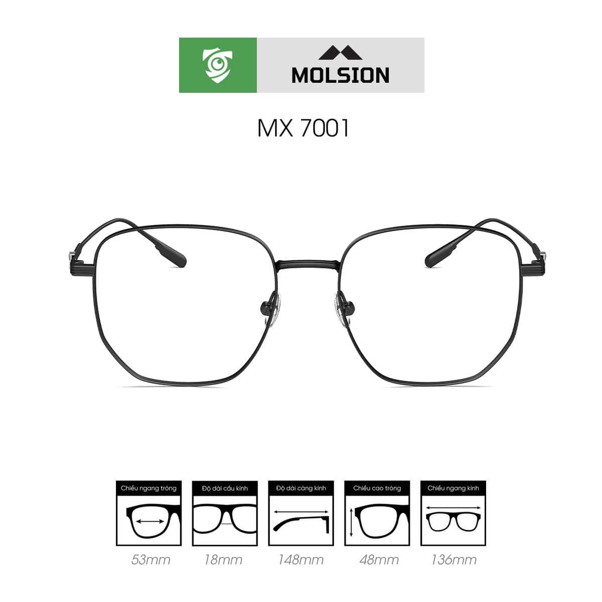 Gọng kính MOLSION MX7001