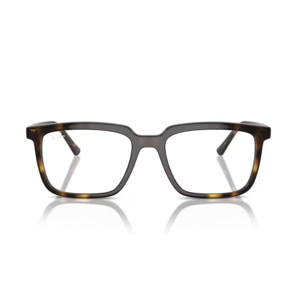 Gọng kính Rayban 0RX7239F