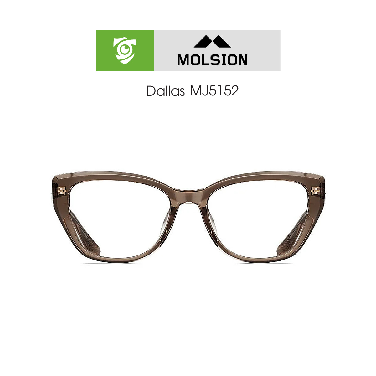 Gọng kính Molsion MJ5152