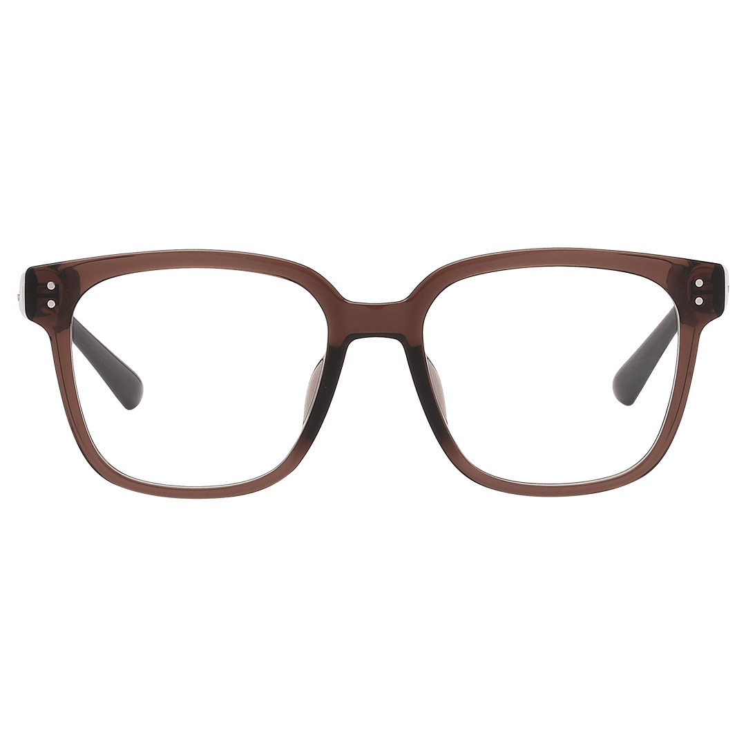 Gọng kính Molsion MJ5126